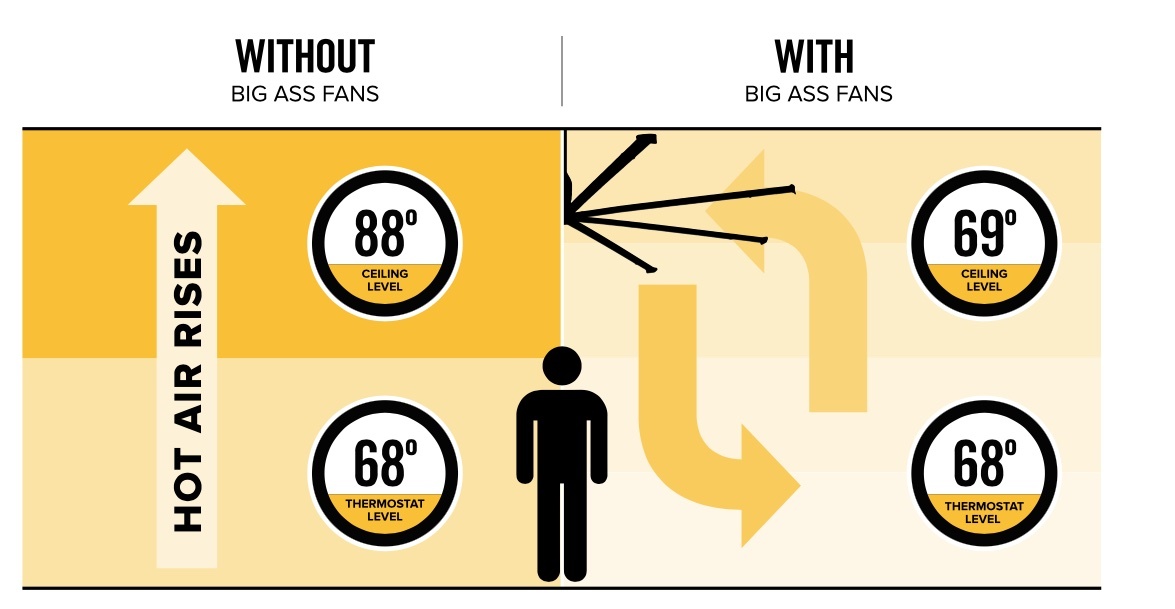 BAF Comparison Graphic