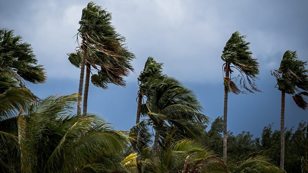 Storm Winds